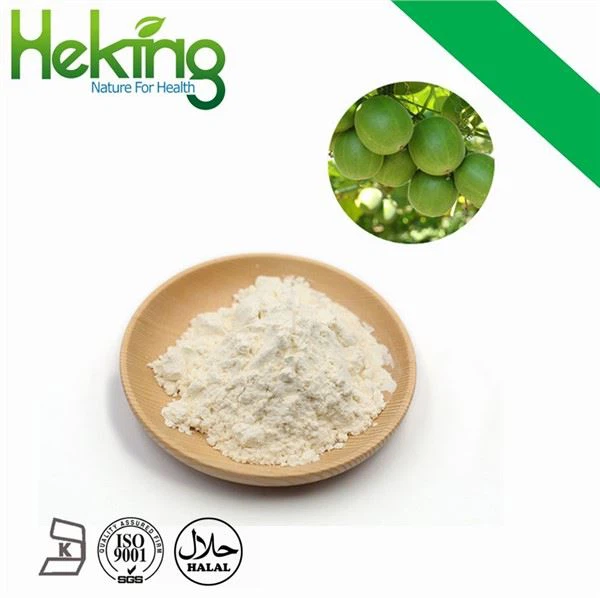 モグロシドVモンクフルーツ